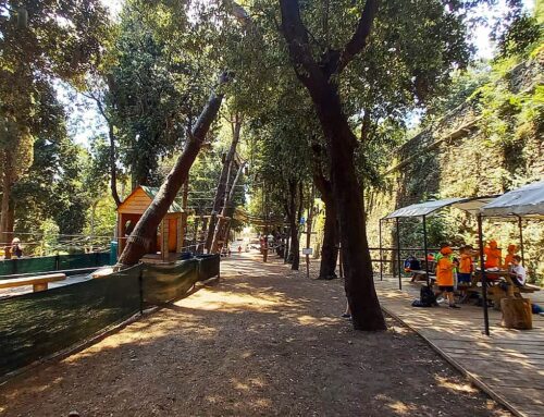 Dal 9 giugno 2025: Parco aperto TUTTI i giorni dalle 10 alle 18!