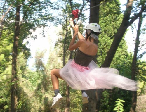 Addio al celibato/nubilato al Parco Avventura di Righi!