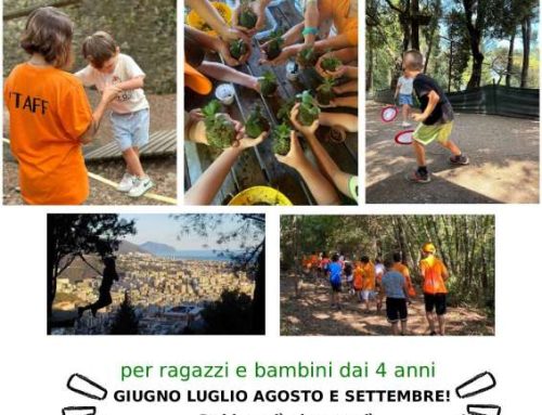 Centro Estivo Parco Avventura