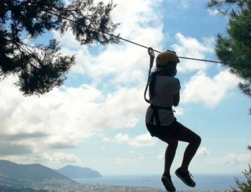 Estate 2026: Aperti TUTTI I GIORNI dalle 10 alle 18!!!