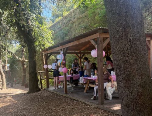 Festa di Compleanno al Parco Avventura Righi